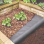 Kingfisher Garden Weed Control Fabricm (8 x 1.5m)